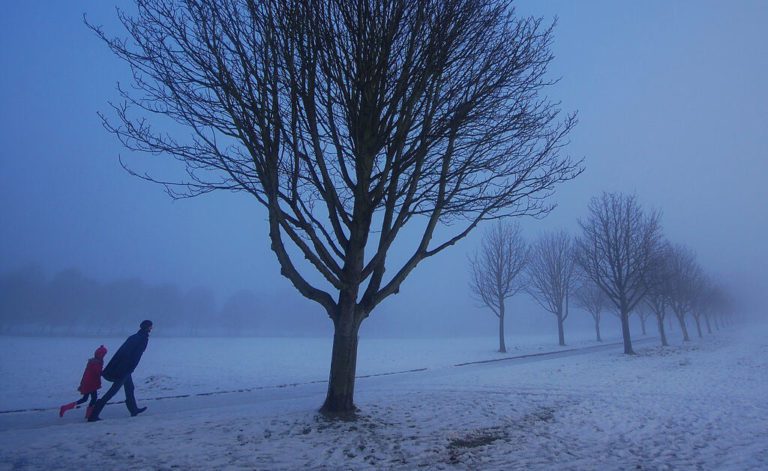 Picture of people walking along a wintry, tree-lined lane.
